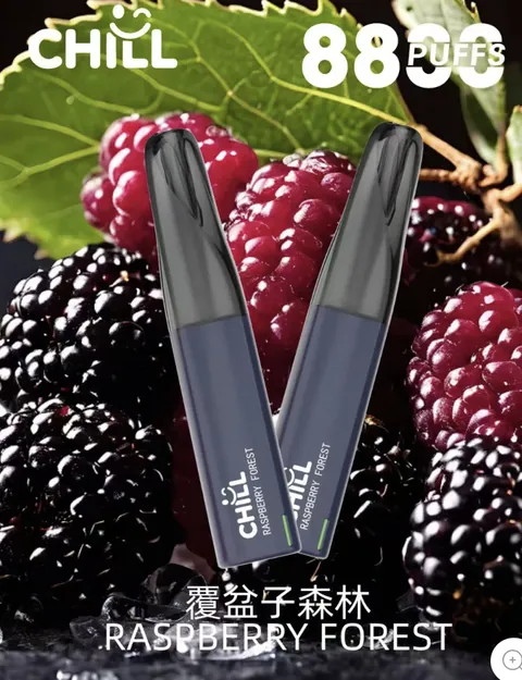 CHILL 鴨嘴獸拋棄式 8800 口 CHILL/8800覆盆子森林